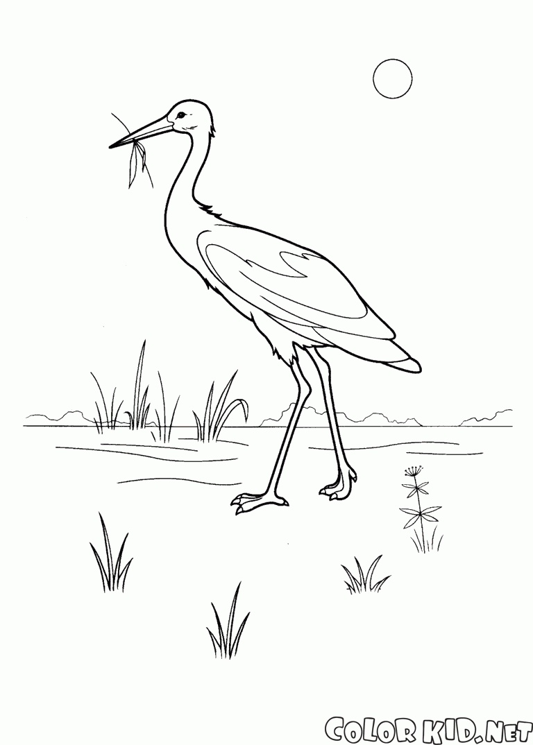 Coloring page