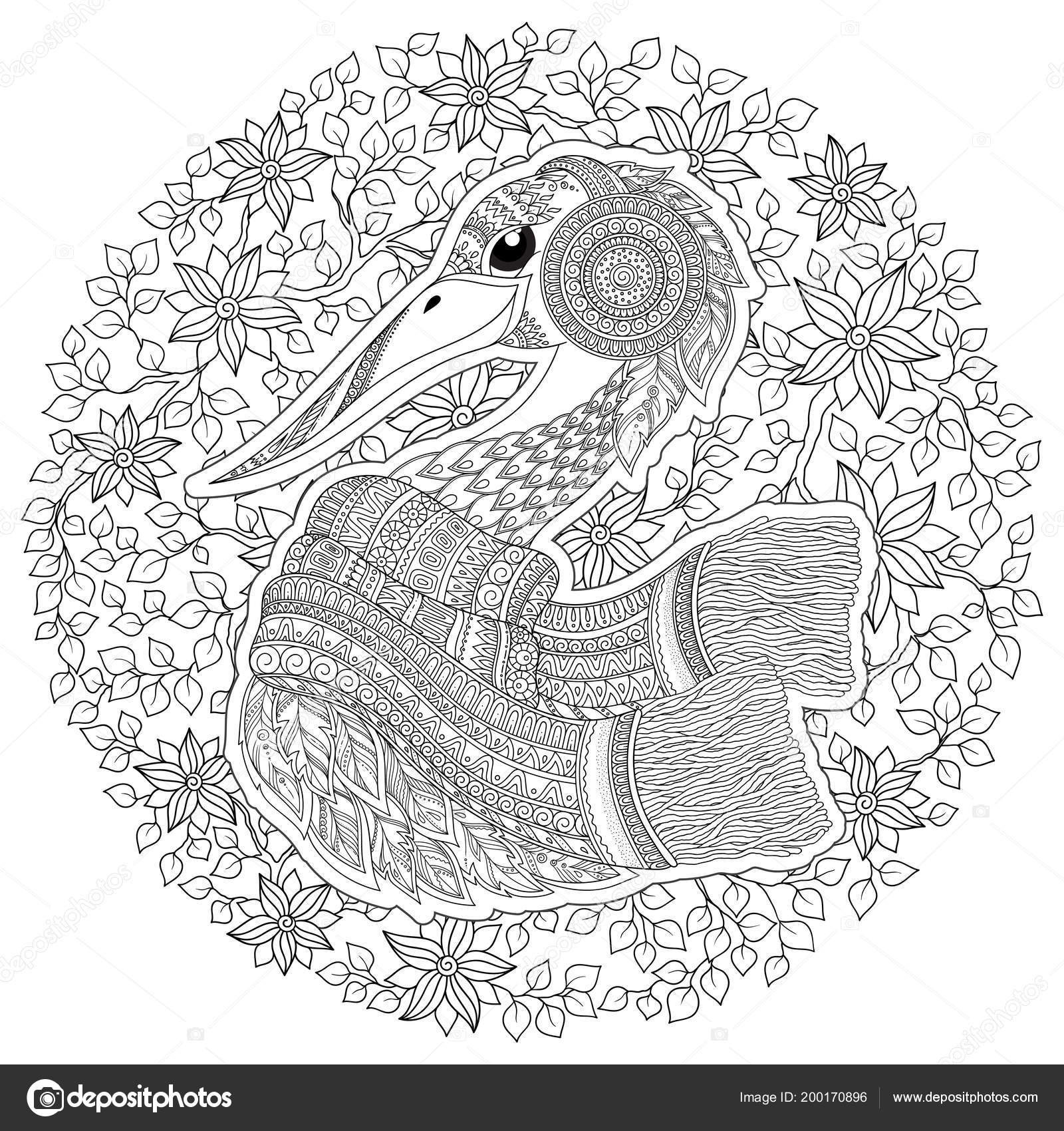 Stork japanese crane coloring book adult outline drawing coloring page stock vector by karpenyuk