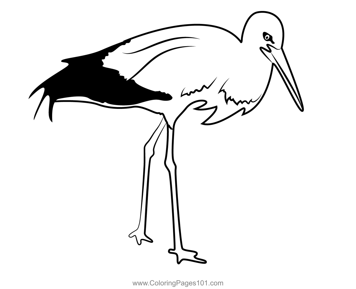 Stork bird coloring page for kids