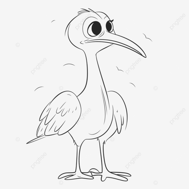 Cartoon coloring pages of drawing a bird outline sketch vector stork drawing stork outline stork sketch png and vector with transparent background for free download