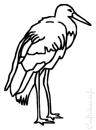 Stork coloring book page for kids