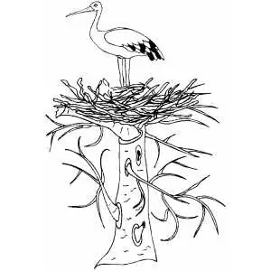 Stork in nest coloring page