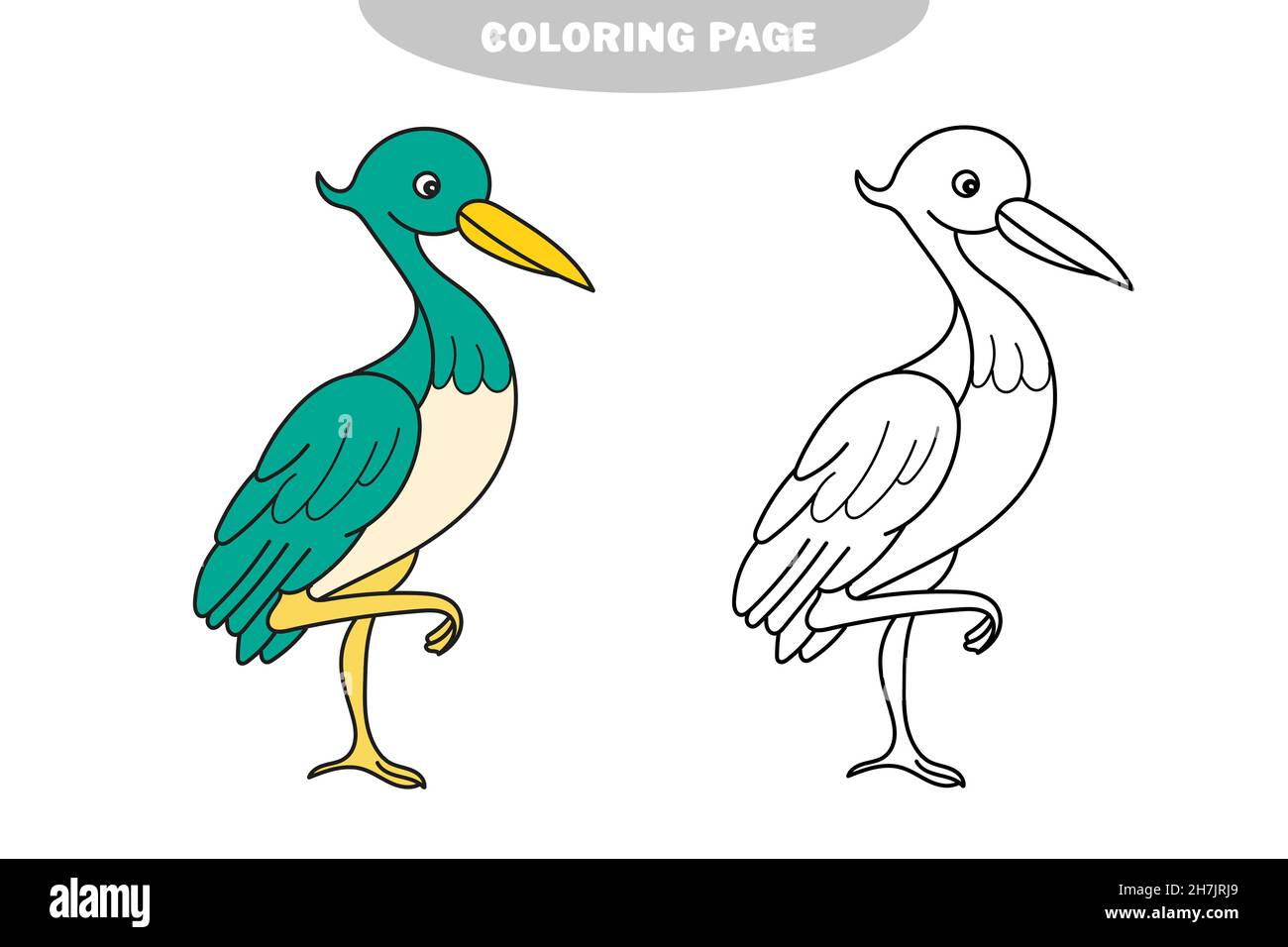 Simple coloring page cute funny cartoon style coloring bird illustration stork heron color and black and white version stock vector image art