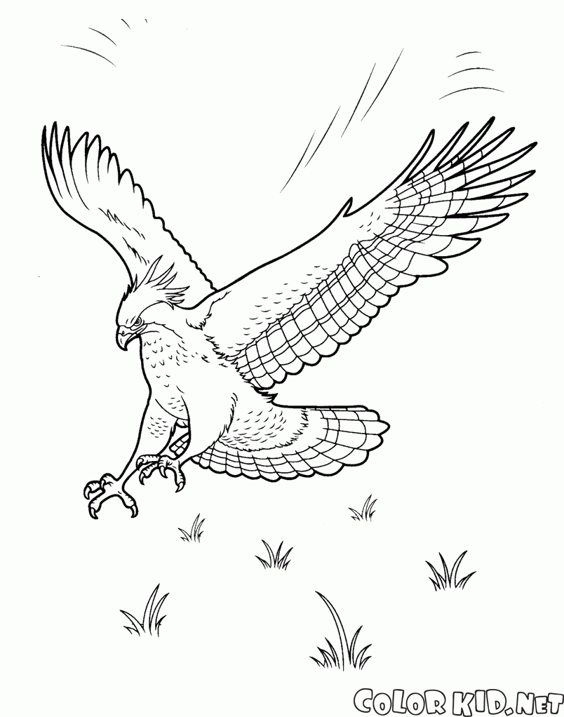 Coloring page