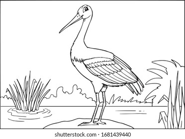 Stork coloring book images stock photos d objects vectors