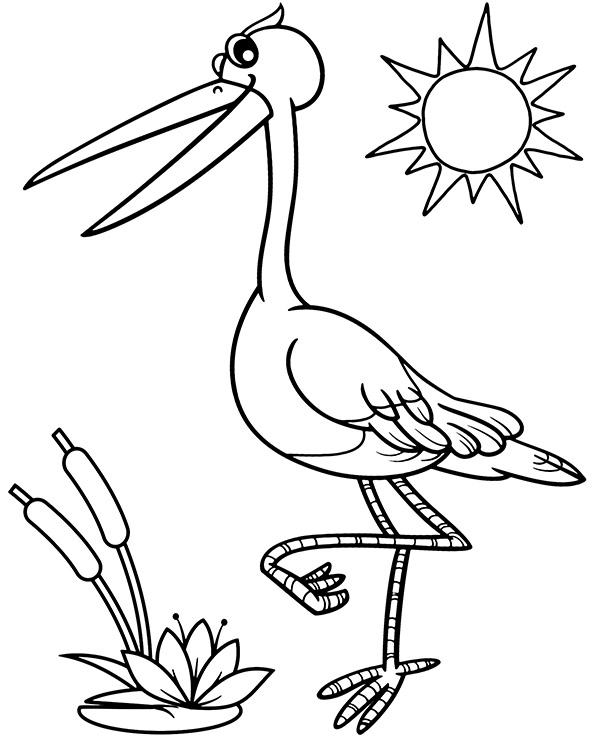 Stork bird coloring page for kids