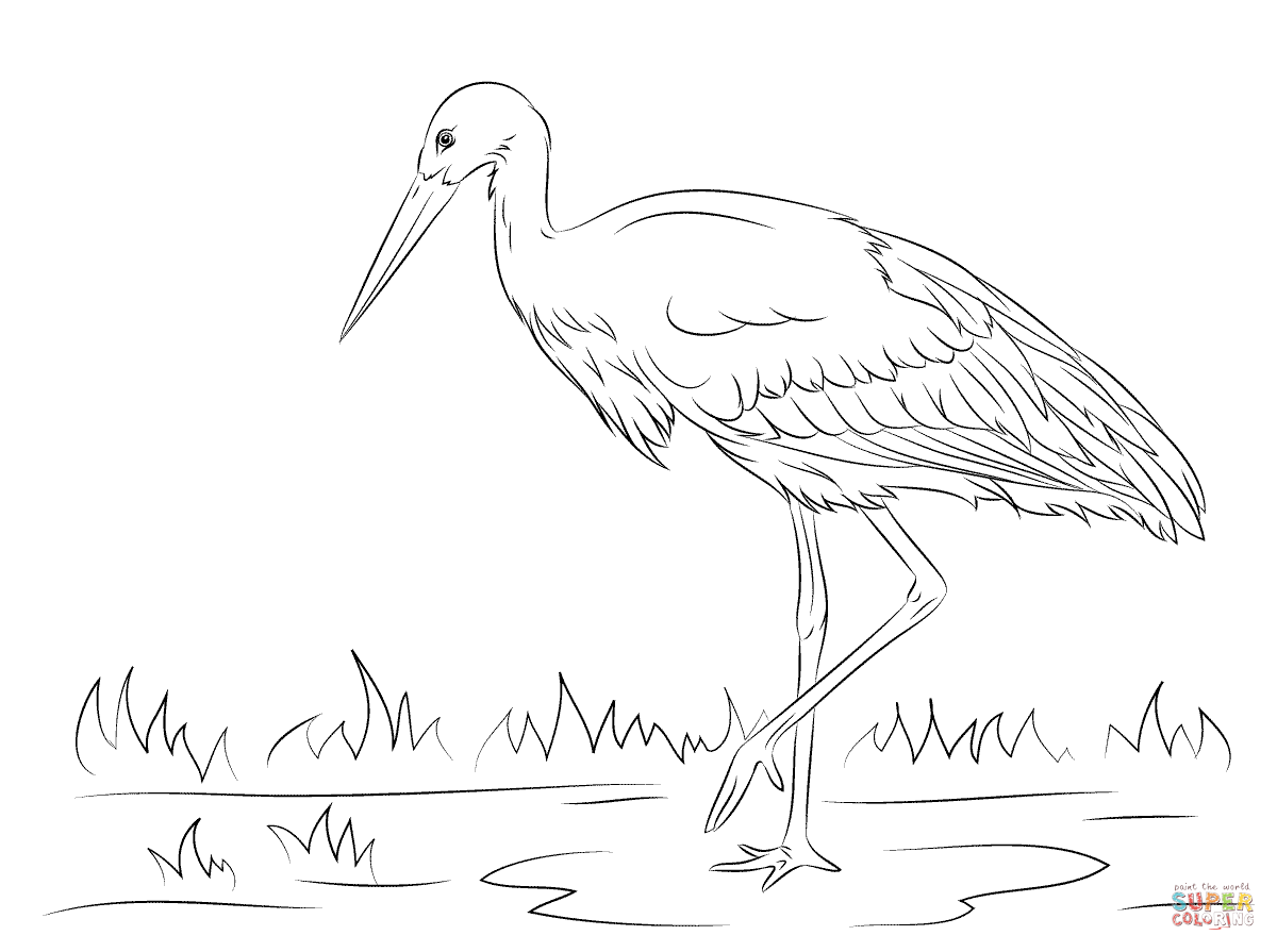 White stork coloring page free printable coloring pages