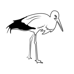 Stork bird coloring page for kids