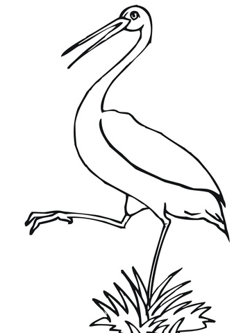 Stork coloring page free printable coloring pages