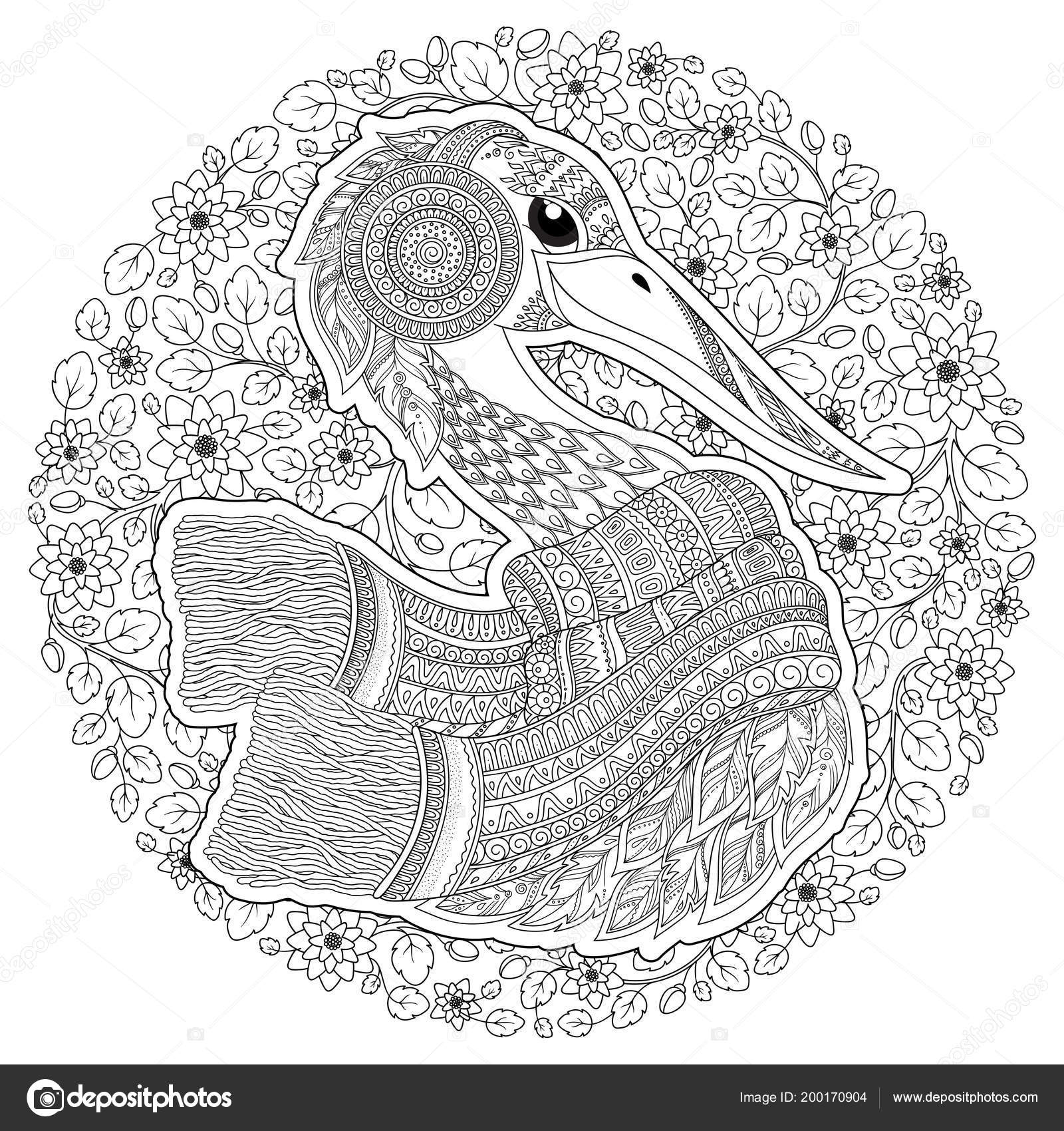 Zentangle hand drawn stork adult stress coloring pages post card stock vector by karpenyuk