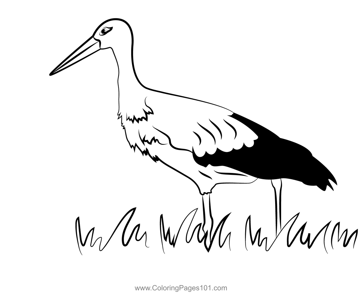 White stork bird coloring page for kids