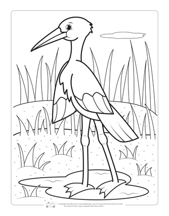 Birds coloring pages for kids