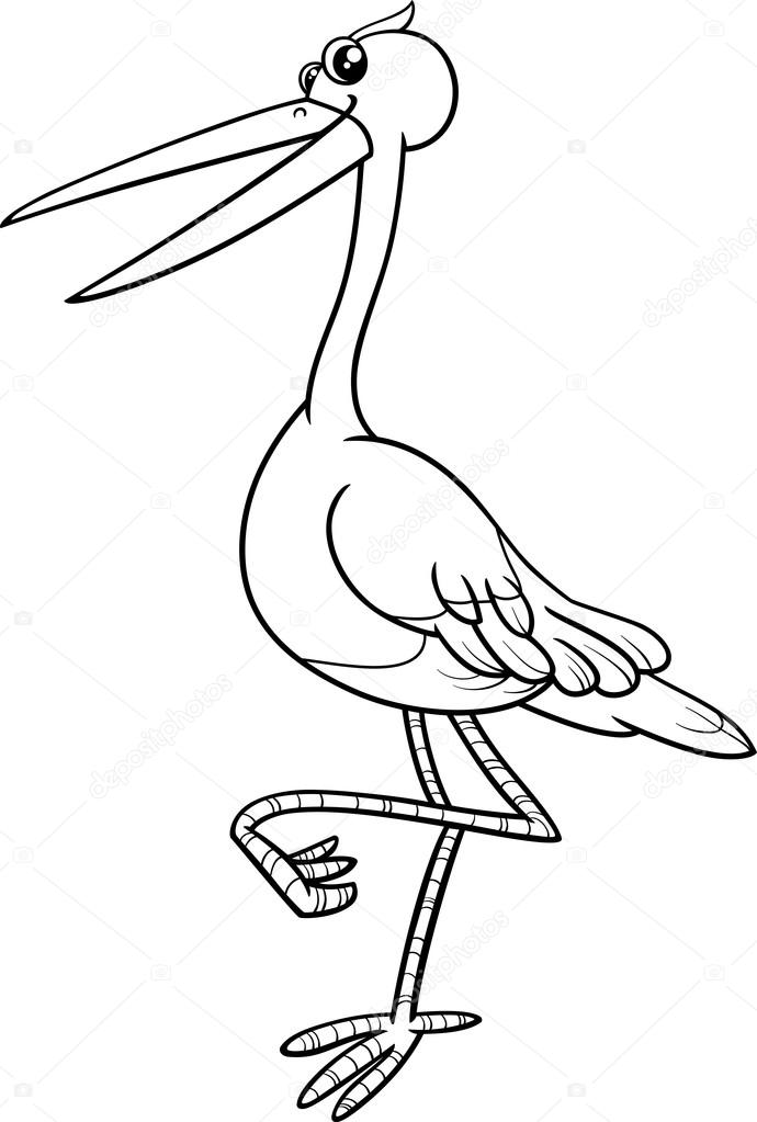 Stork bird coloring book stock vector by izakowski