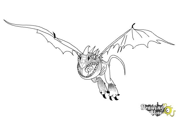 How to draw stormfly from how to train your dragon
