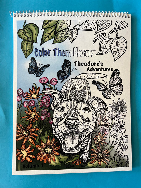 Color them home single book coloring book â sandra marshall art