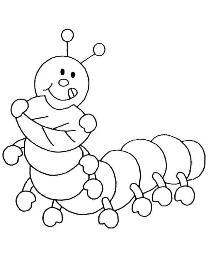 The very hungry caterpillar printable coloring pages insect coloring pages butterfly coloring page bug coloring pages