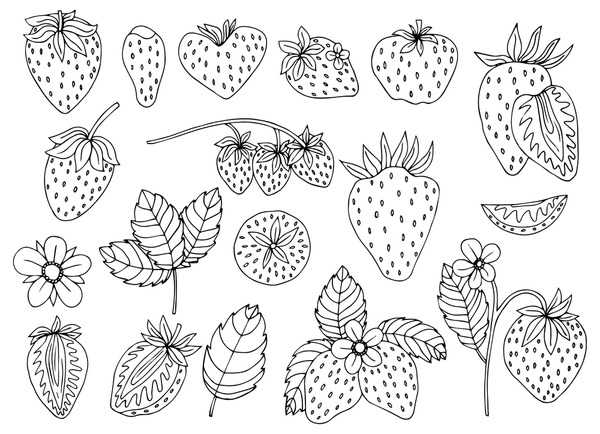 Thousand coloring page strawberries royalty