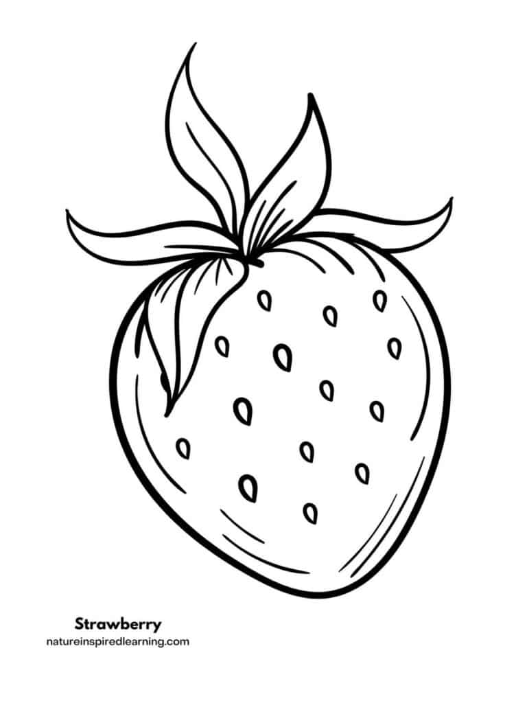 Strawberry coloring pages