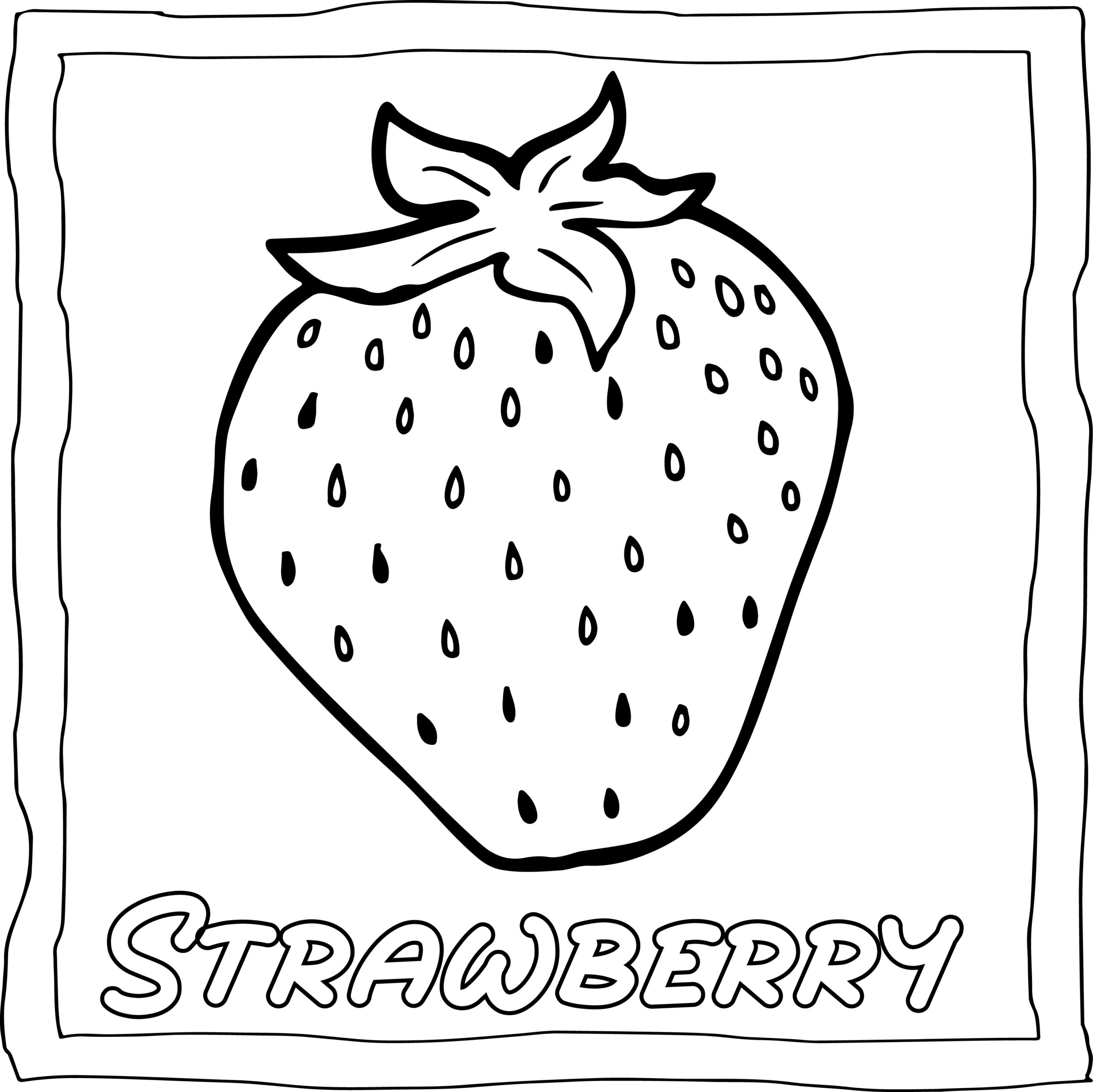 Fruits coloring book easy and fun fruits coloring pages for kids made by teachers