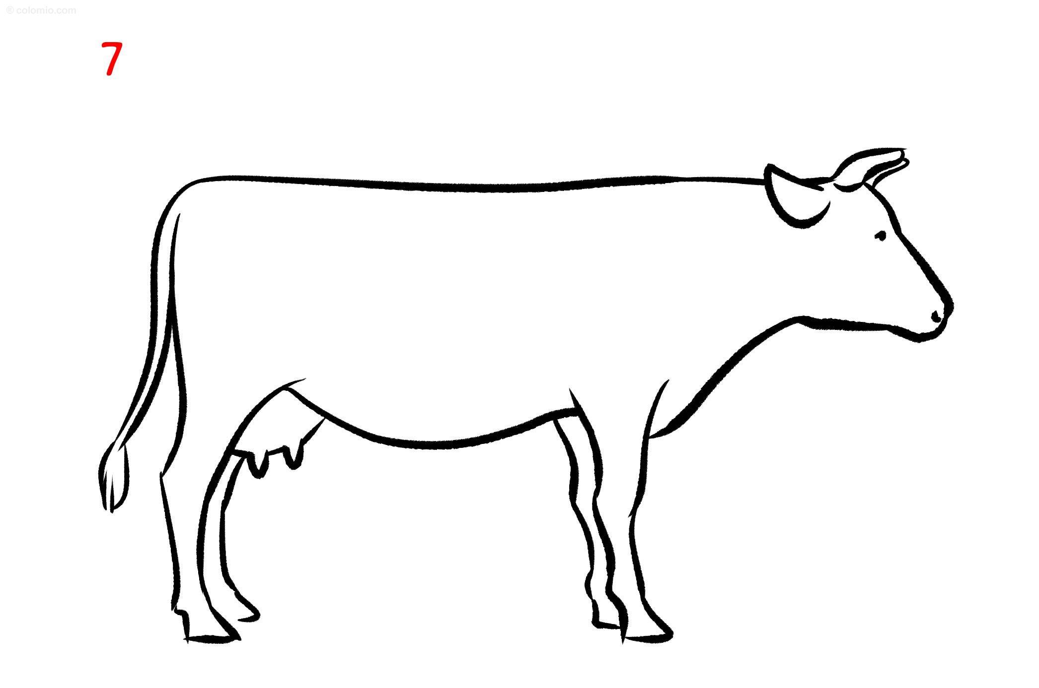 Cows coloring pages free printable cow coloring sheets