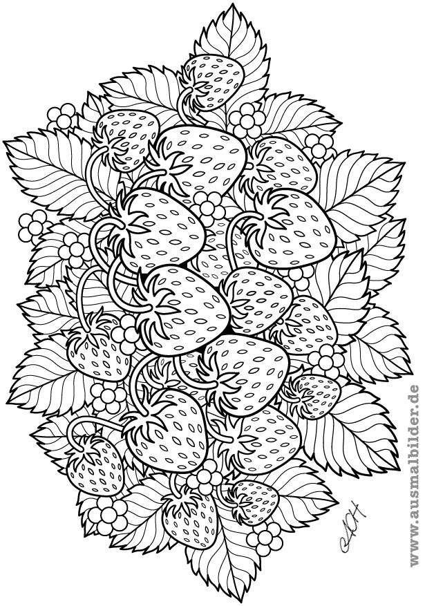 Fruit coloring pages adult coloring pages printable adult coloring pages