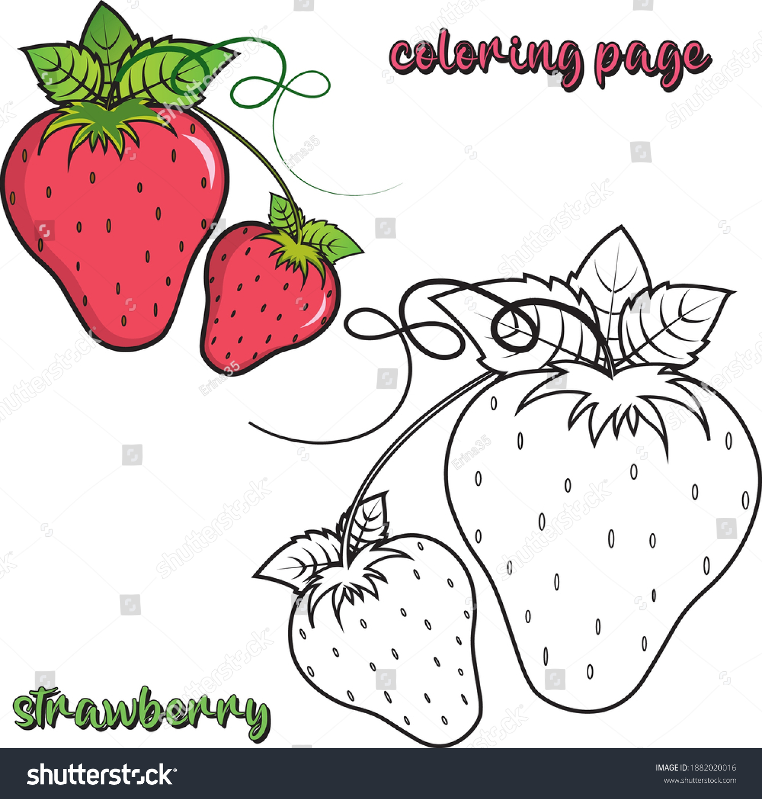 Strawberry coloring page kids fruit vector stock vector royalty free