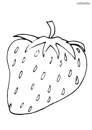 Strawberries coloring pages free printable strawberry coloring sheets