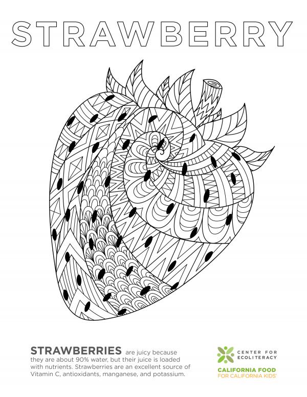 Fruits and vegetables coloring pages