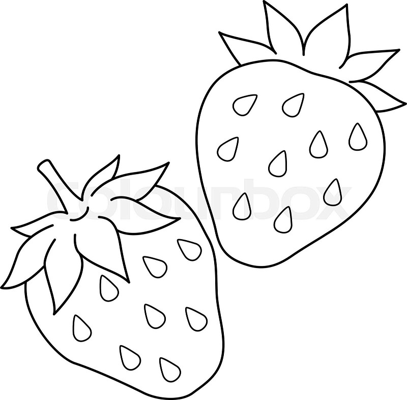 Strawberry fruit isolated coloring page for kids stock vector