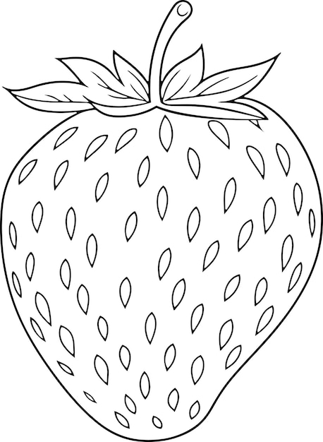 Premium vector strawberry vector illustration black and white outline strawberry coloring book or page for children