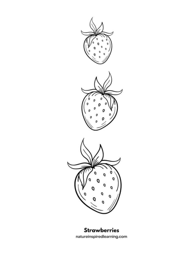 Strawberry coloring pages