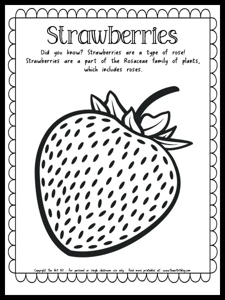 Strawberry coloring page with fun fact free printable â the art kit