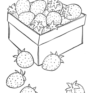 Strawberry coloring pages printable for free download