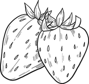 Strawberry coloring pages free coloring pages