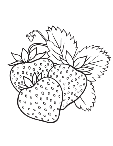 Coloring pages bunch of strawberries coloring pages