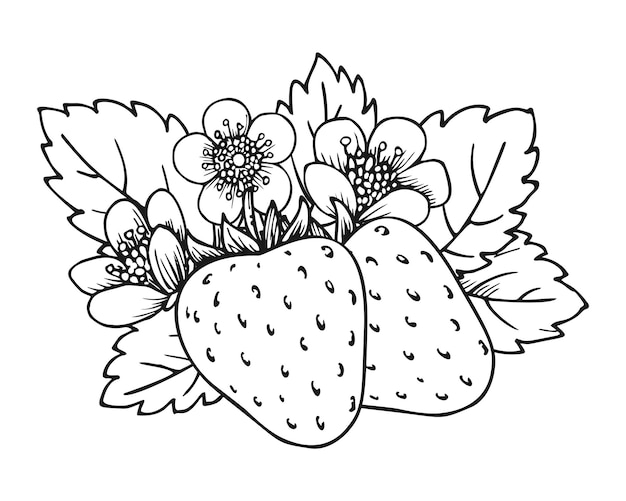 Page strawberry coloring page vectors illustrations for free download
