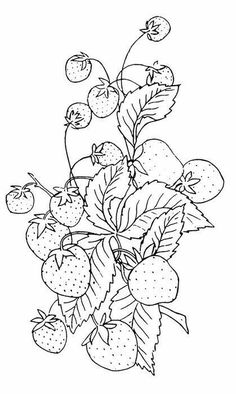 Strawberry coloring pages ideas coloring pages fruit coloring pages coloring books