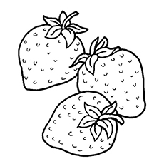 Top strawberry coloring pages for your little one