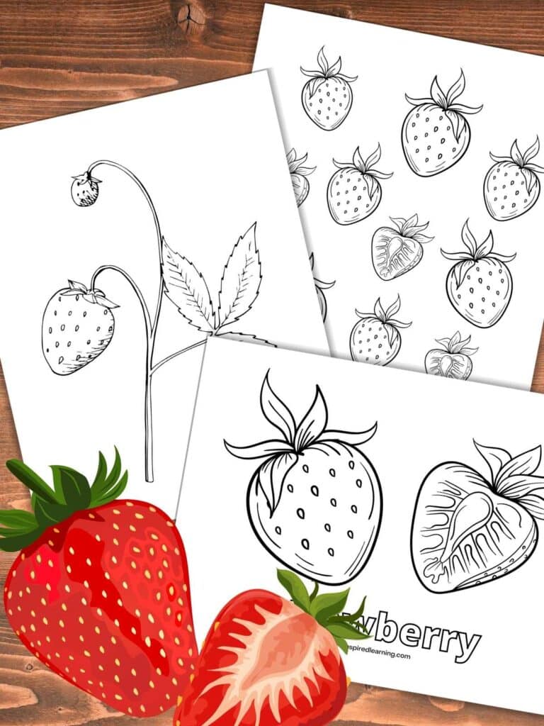 Strawberry coloring pages