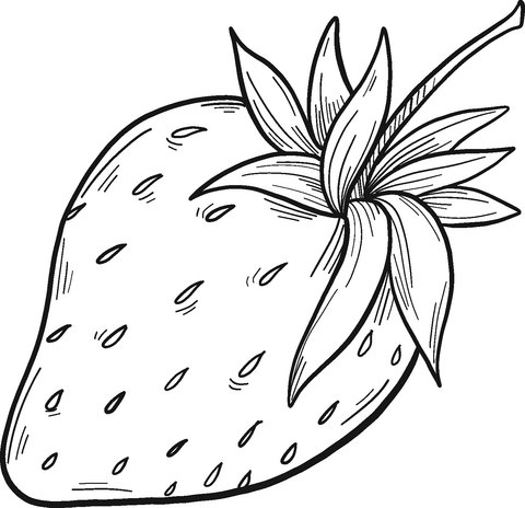 Strawberry coloring page free printable coloring pages