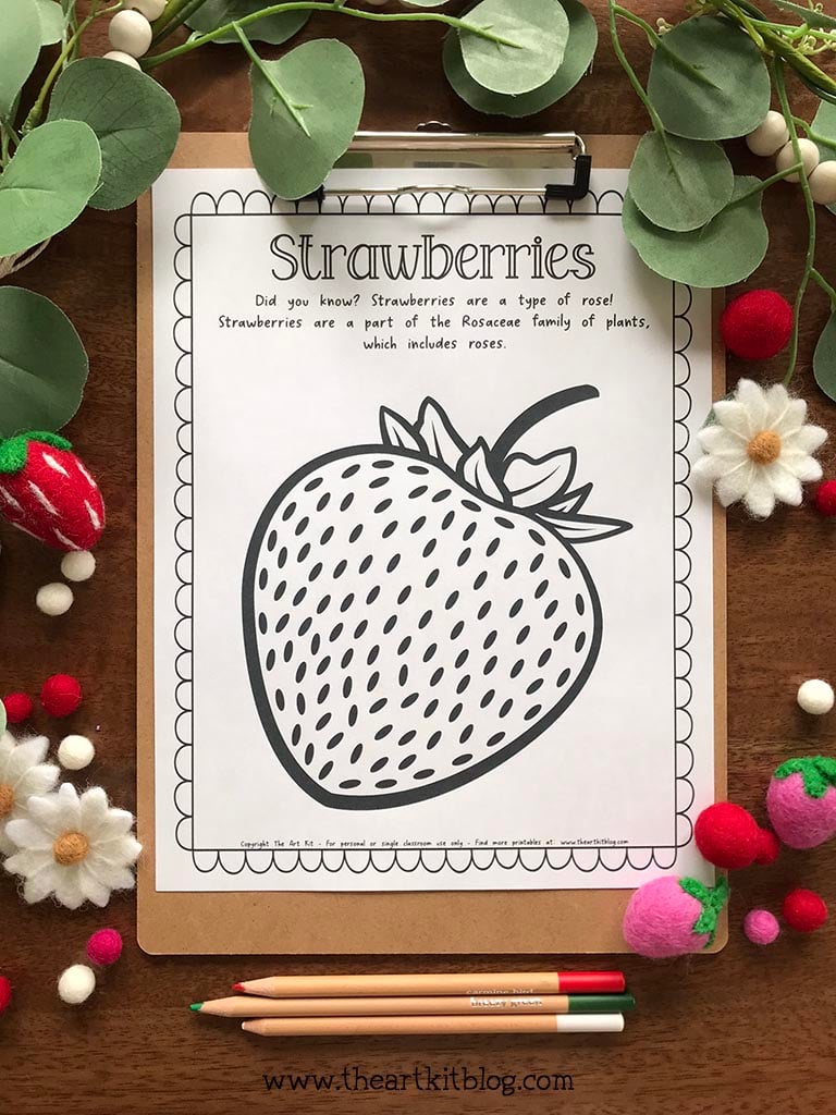 Strawberry coloring page with fun fact free printable â the art kit