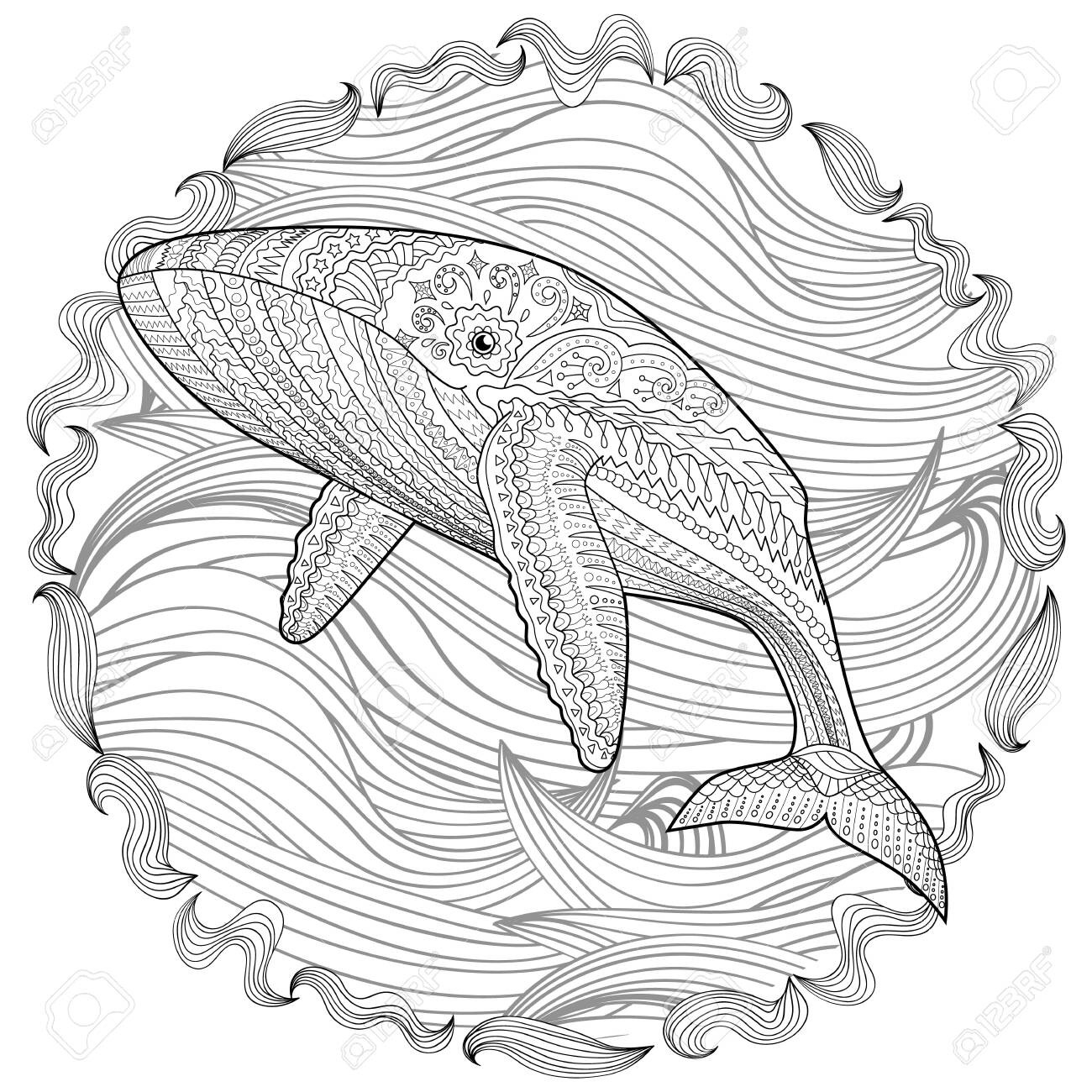 Coloring pages for adults with humpback whale for anti