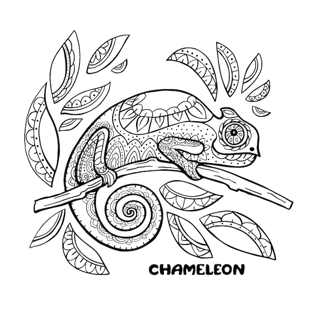 Premium vector chameleon coloring book illustration anti