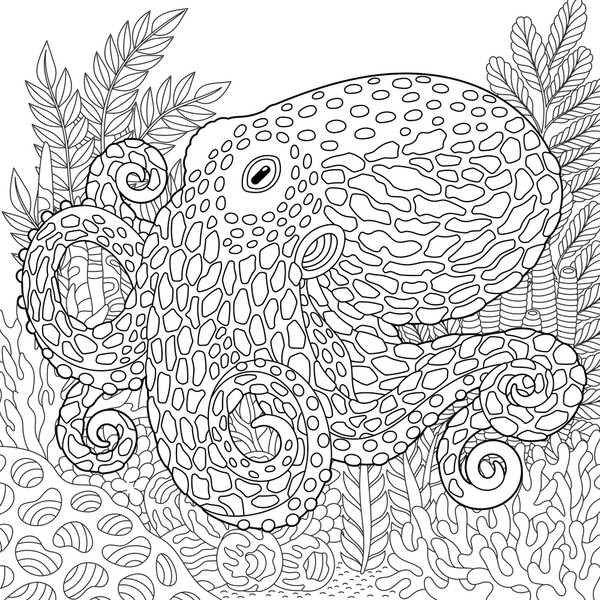 Adult anti stress coloring pages images stock photos d objects vectors