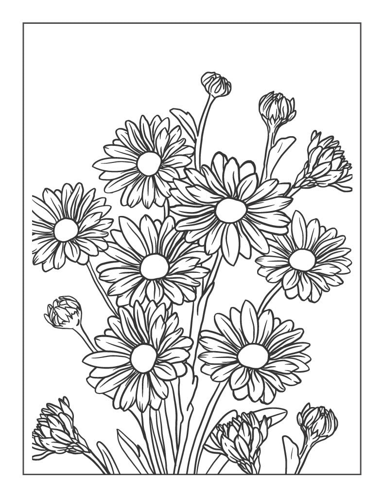 Botanical flower coloring pages for adults to help with stress and relaxation