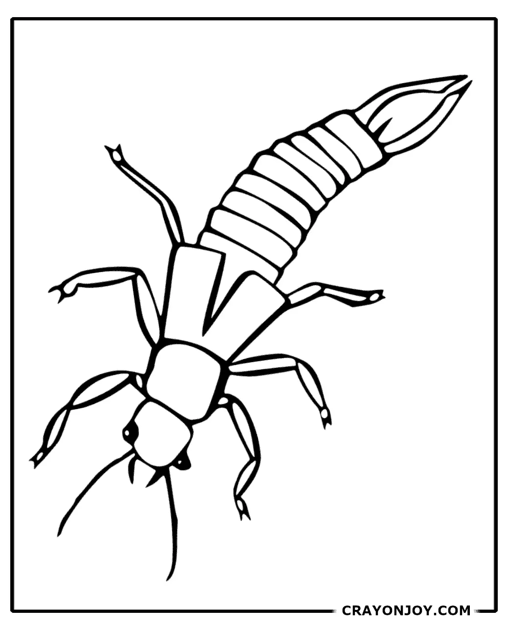 Free printable earwig coloring pages for kids adults