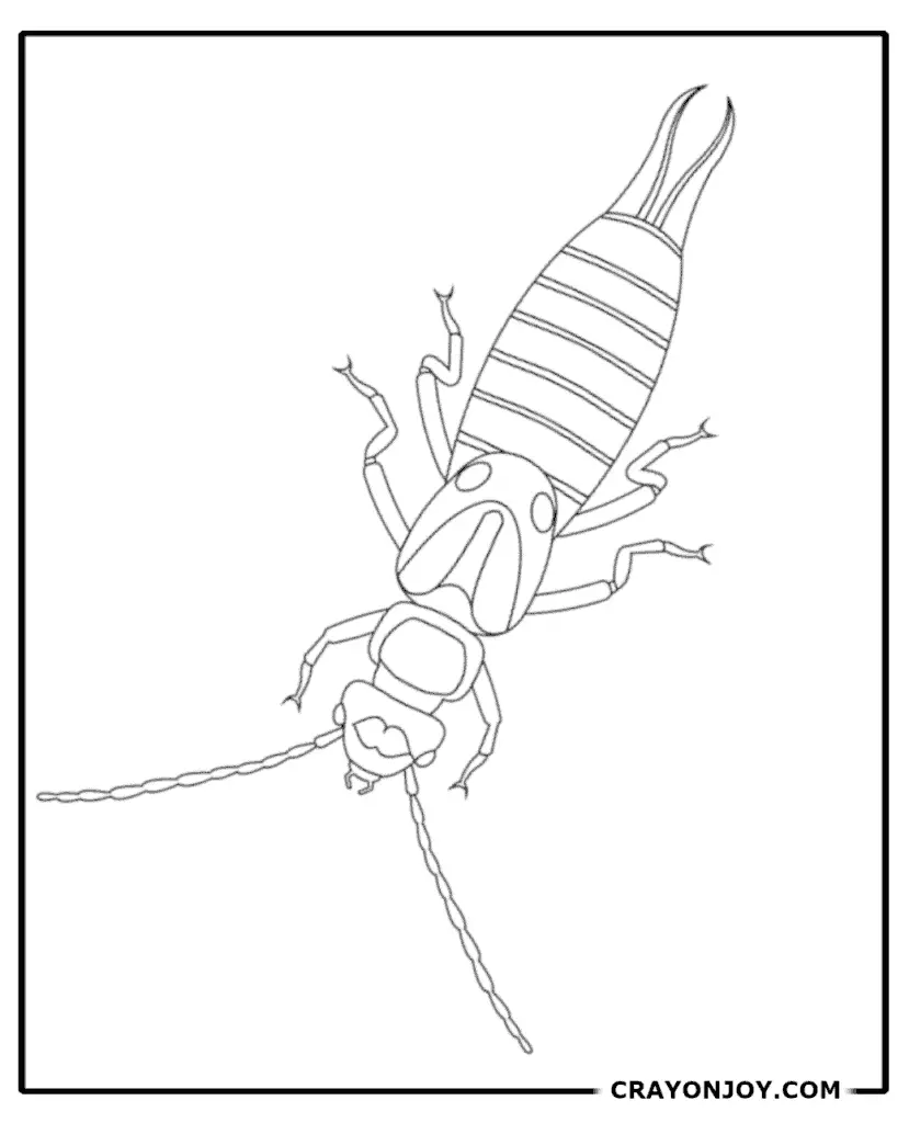 Free printable earwig coloring pages for kids adults