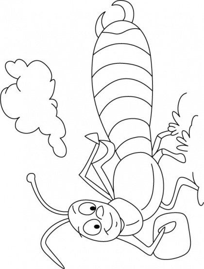 Earwig shines under cloud line coloring pages download free earwig shines under cloud line colâ in insect coloring pages coloring pages coloring pages for ks