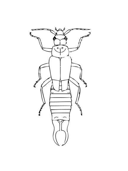 Mon earwig coloring page free printable coloring pages earwigs free printable coloring pages printable coloring pages