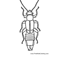 Earwig coloring pages